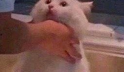 今日吃瓜-热心的朝阳群众吃瓜